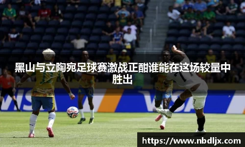 黑山与立陶宛足球赛激战正酣谁能在这场较量中胜出